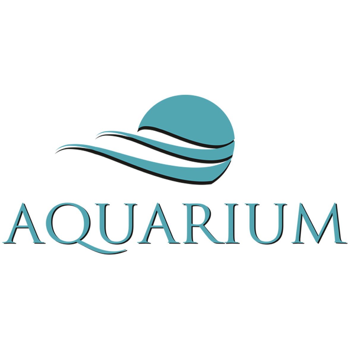 Aquarium Accessories