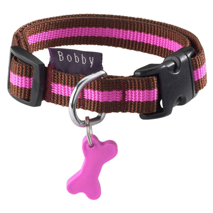 Arlequin Collar Maroon, Medium
