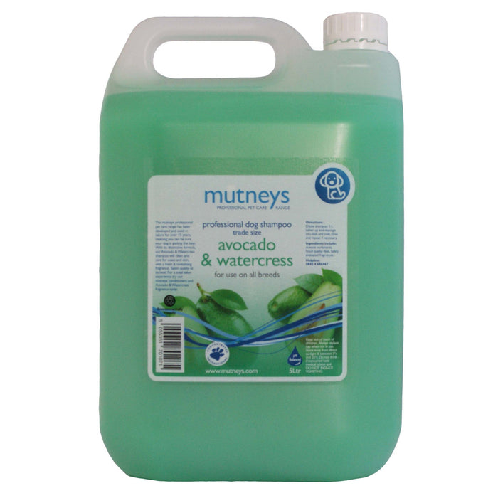 Avocado & Watercress Shampoo 5 L