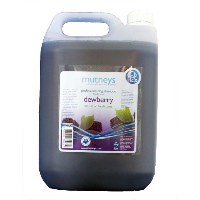 Dewberry Shampoo 5 L