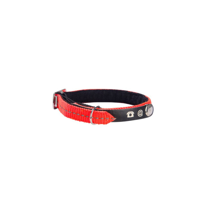 Lost Cat Collar Orange