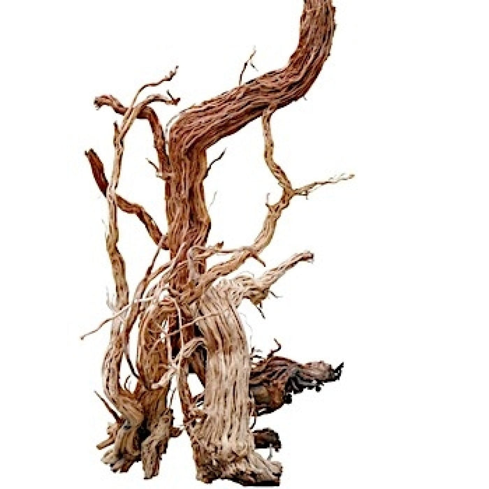 Azalea Wood-S shape, 60-100 cm/ pc
