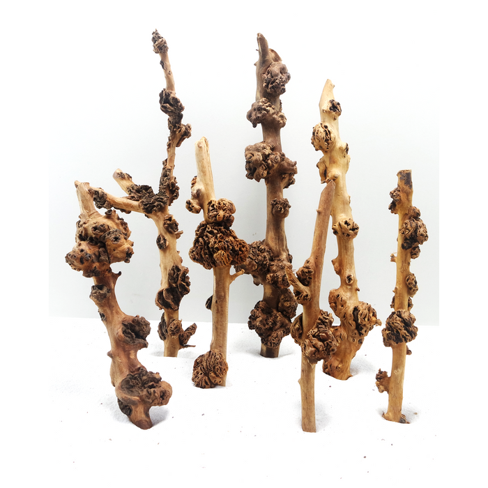 Sava Wood Small, 20-30 cm / box