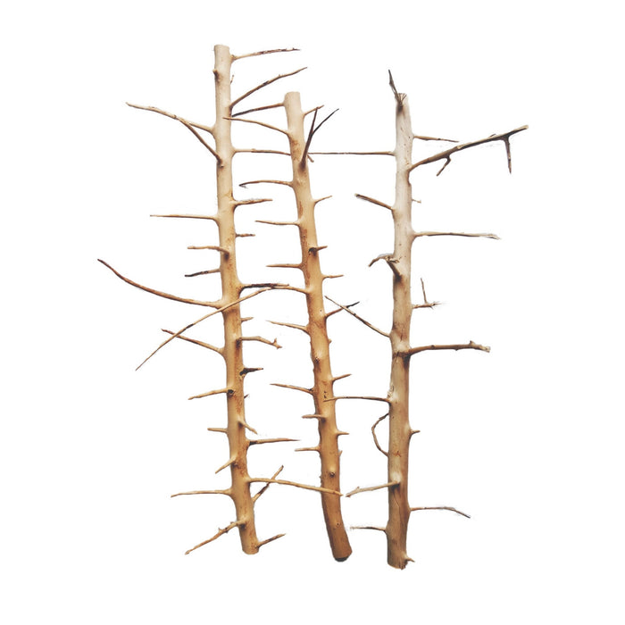Long Hands Wood Small, 20-30 cm / box