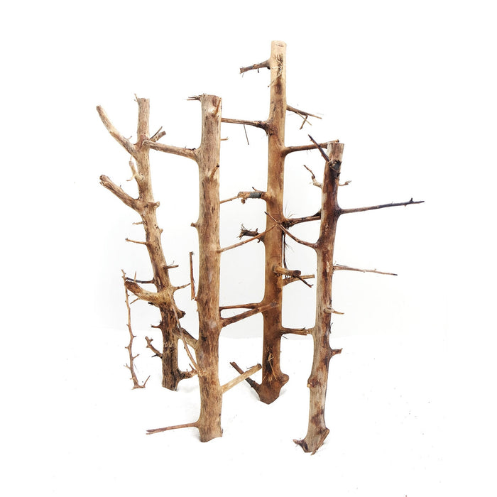 Long Hands Wood Medium, 30-45 cm / box