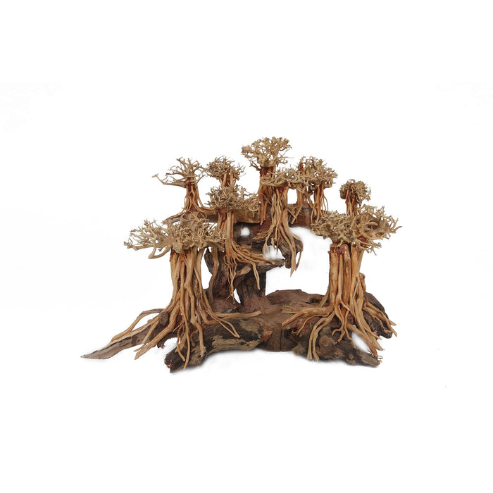 Layout God of Forest XLarge, box