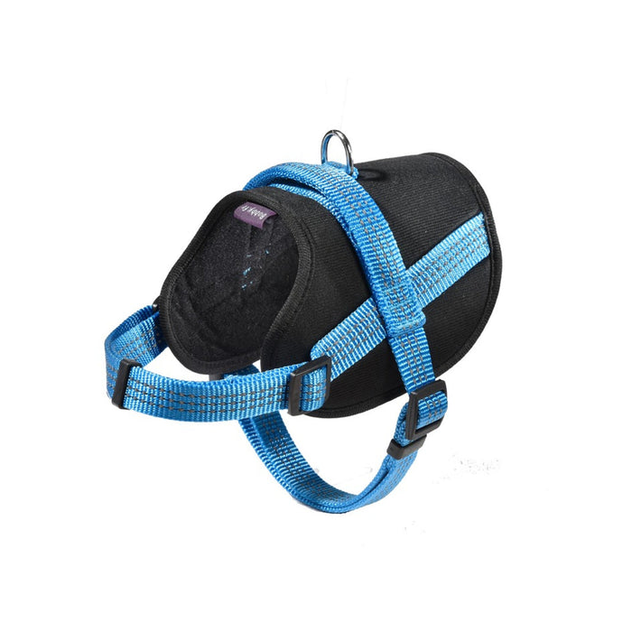 Easy Safe Harness Blue, XSmall