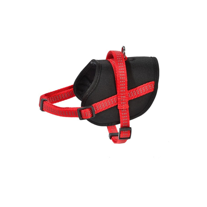 Easy Safe Harness Red, Large
