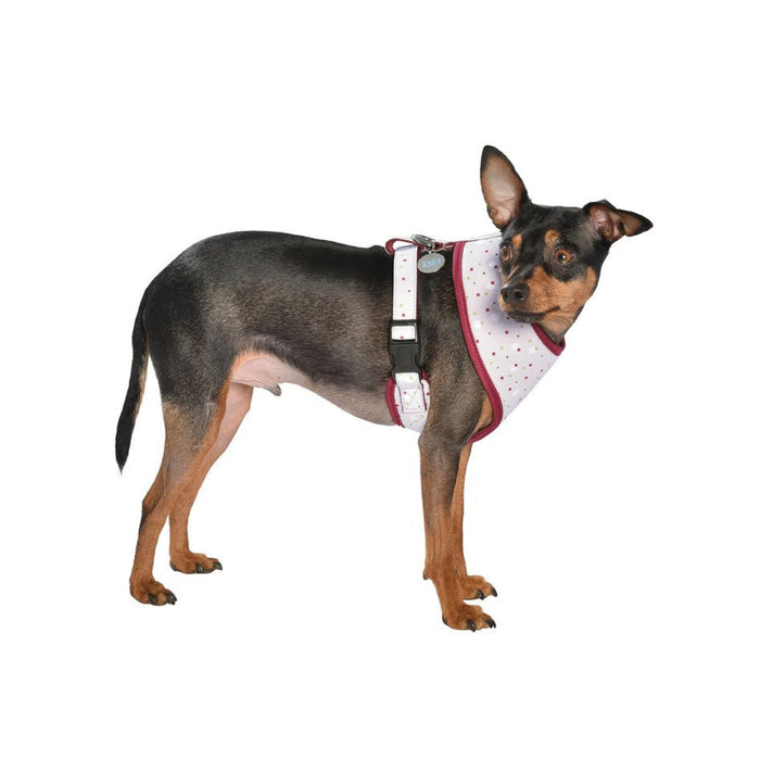 Dots T-Shirt Harness Beige, Medium
