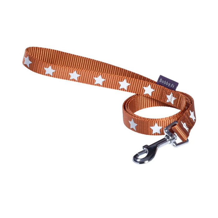 Midnight Lead Orange, Large