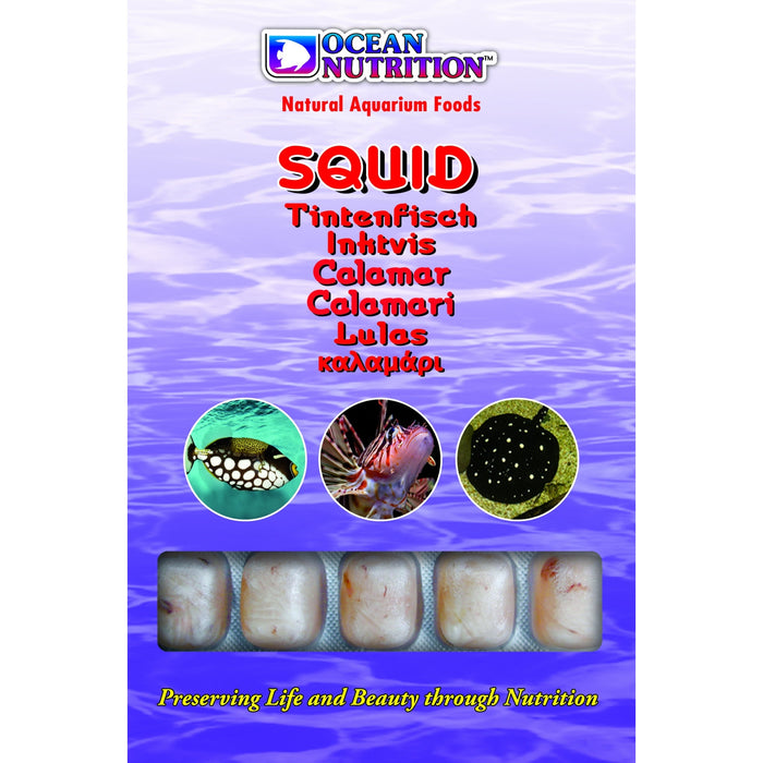 Squid 100 g