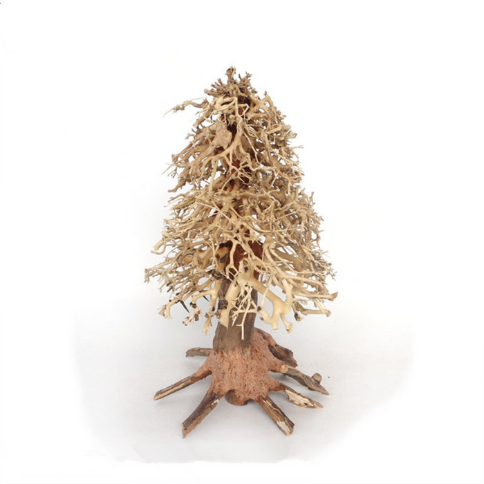 Christmas Tree Bonsai Wood Medium, 15x20x15 cm / box