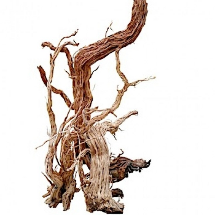 Azalea Wood-S Shape, 110-120 cm / pc