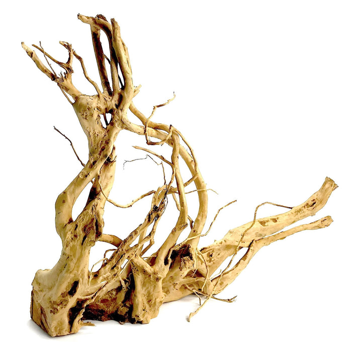 Wood Root 2XLarge, 60-80 cm / pc