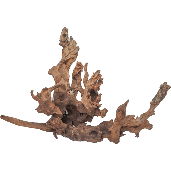 Drift Wood XLarge, 50-80 cm / pc