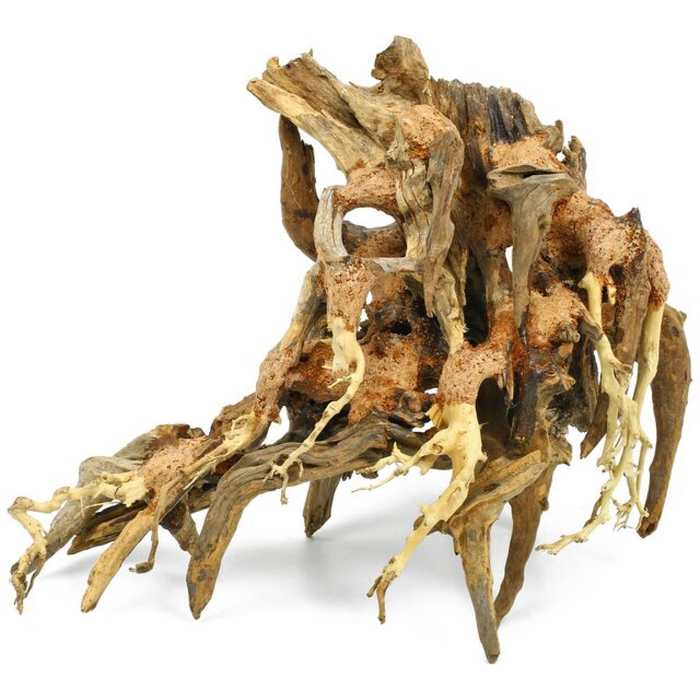Octopus Wood Medium, 30x23x15 cm / box