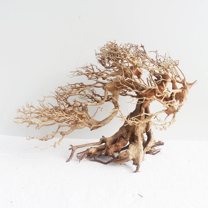 Romantic Bonsai Wood Medium, 30x23x13 cm / box
