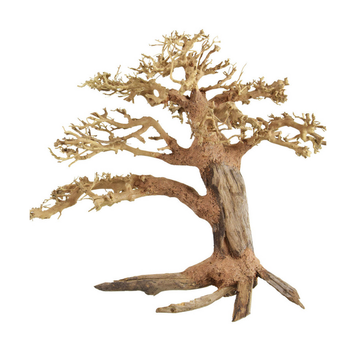 Pine Bonsai Wood Medium, 30x23x13 cm / box