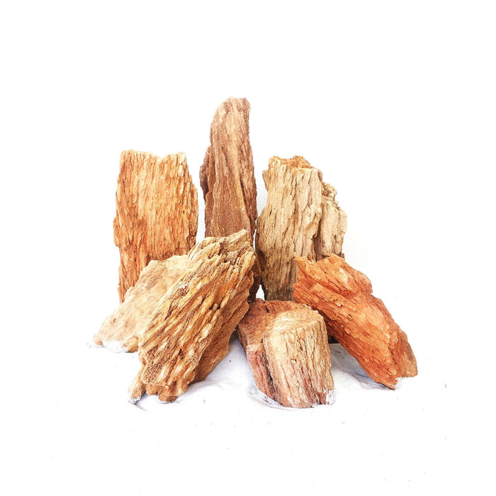 Red Wood Fossil Small, 12-18 cm / box