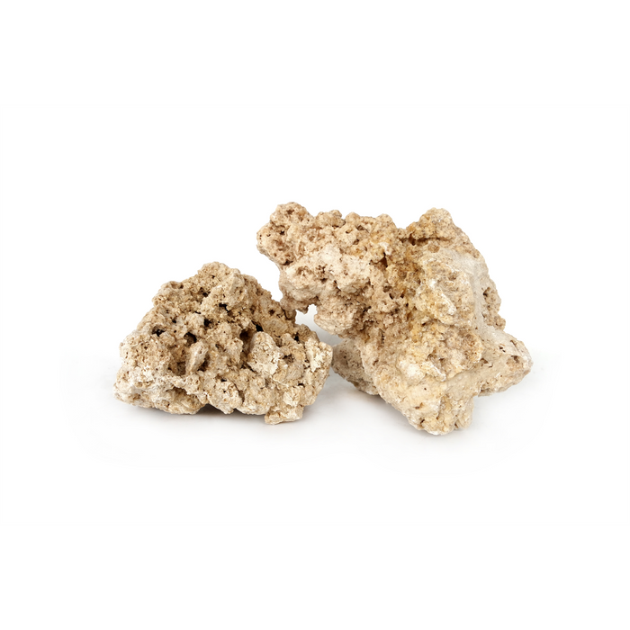 South Seas Rock Large, approx. 3pcs / box