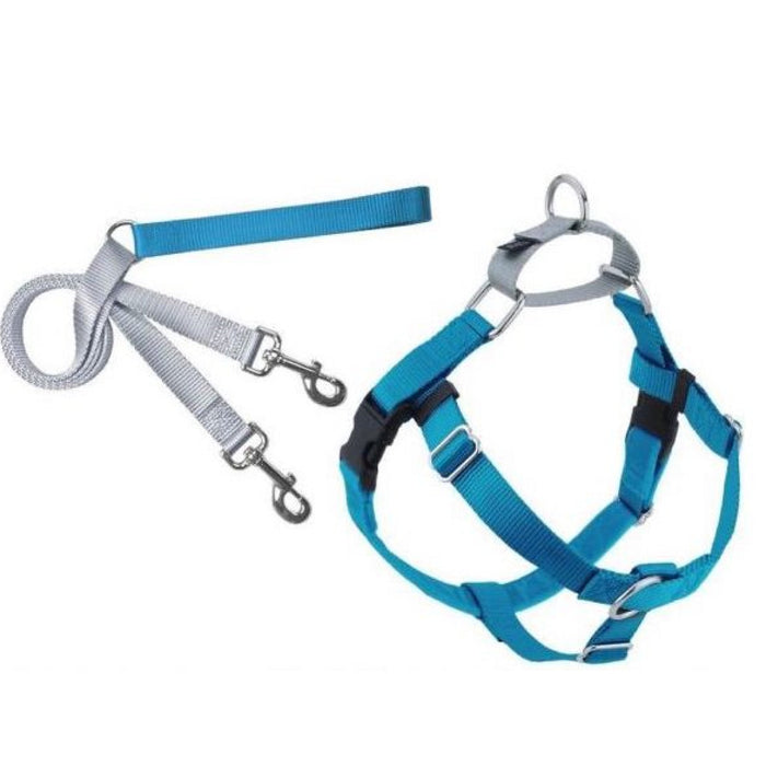 Freedom No-Pull Harness and Leash - Turquoise / Medium 1"