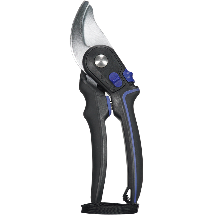 Coral Pruner