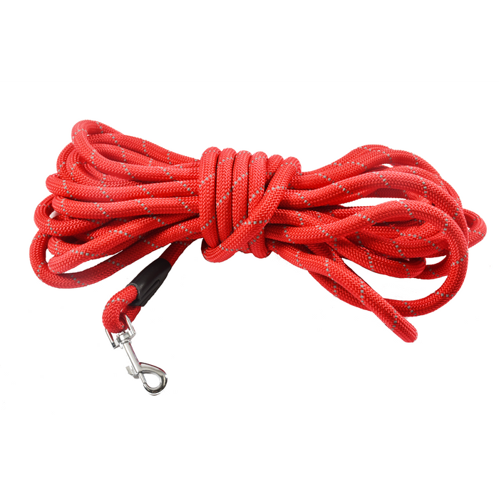 Leash 10M Walk Red