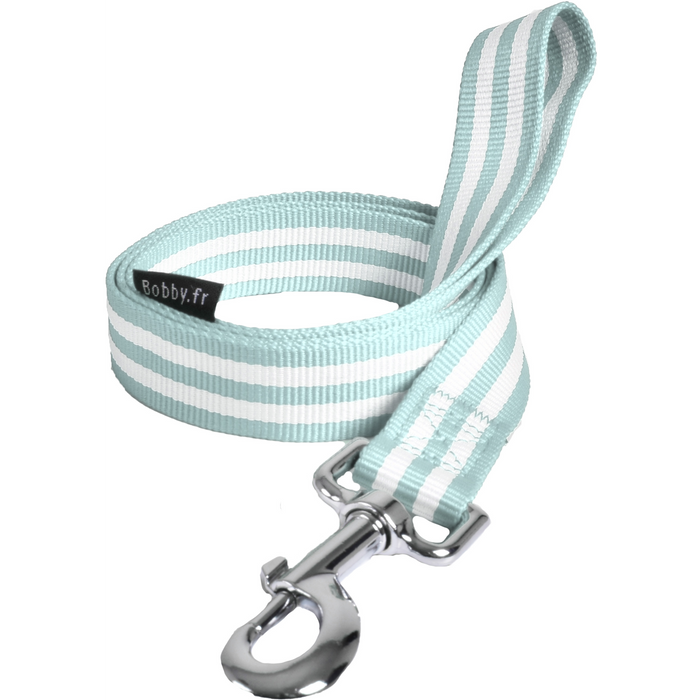 Leash Stripe Lagoon Small and Medium