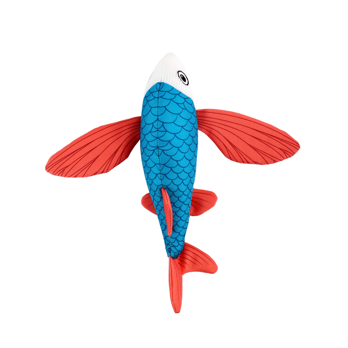 Chill Out Flying Fish