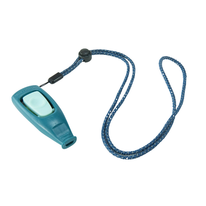 Coachi Puppy & Mini Whizzclick Teal & Mint