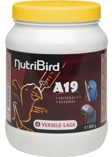 Nutribird A19 High Energy