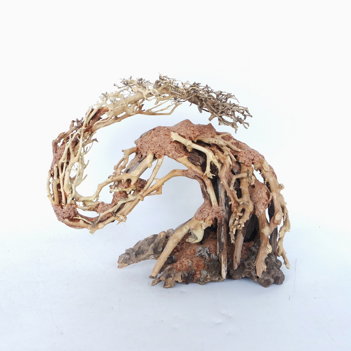 Dragon-like Wood Tree Small, 22x15x10 cm / pc