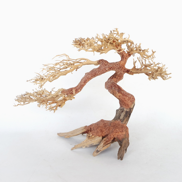 Claw Bonsai Wood Small, 30x20x10 cm / pc