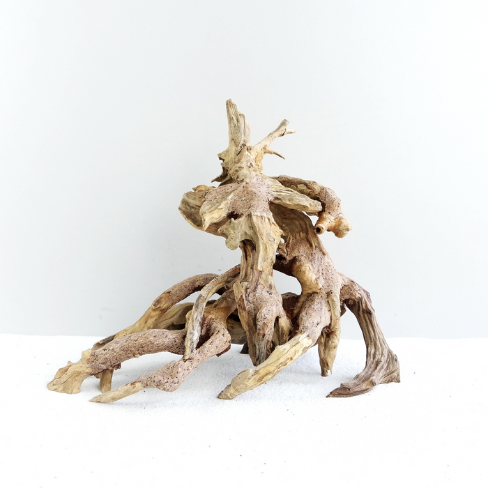 Octopus Wood Medium, 30x23x15 cm / pc