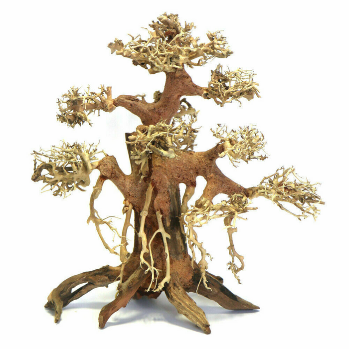 Banyan Bonsai Wood Small, 20x20x12 cm / pc