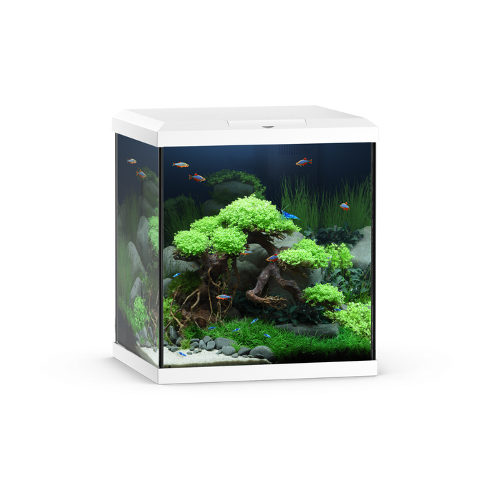 Vio Cube 54 White