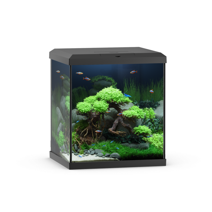 Vio Cube 54 Black