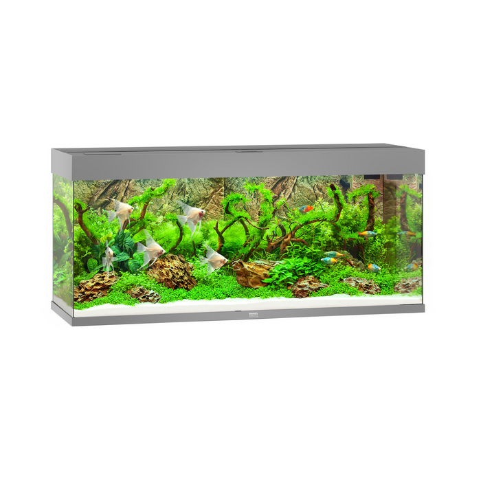 Rio 240 LED Grey