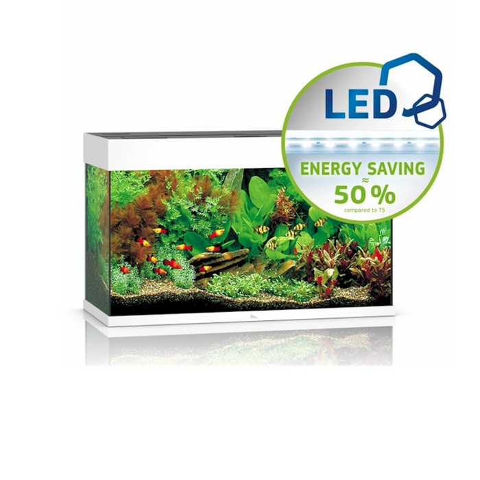 Rio 125 LED White