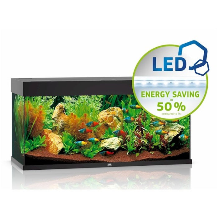 Rio 180 LED Black