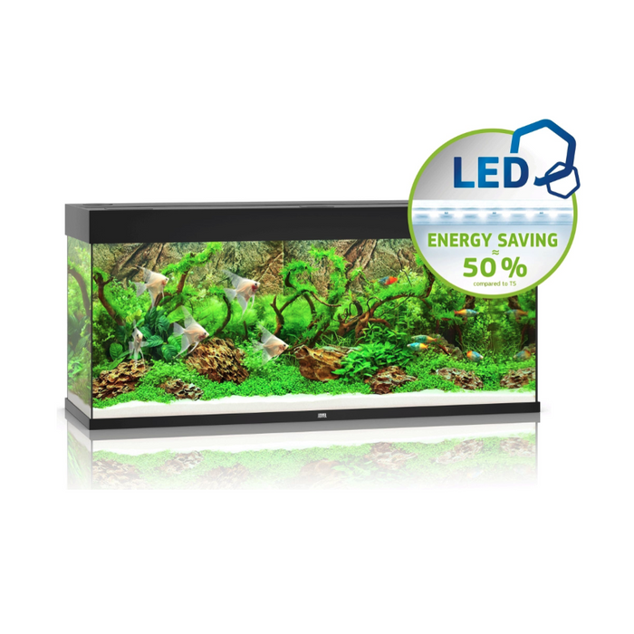 Rio 240 LED Black