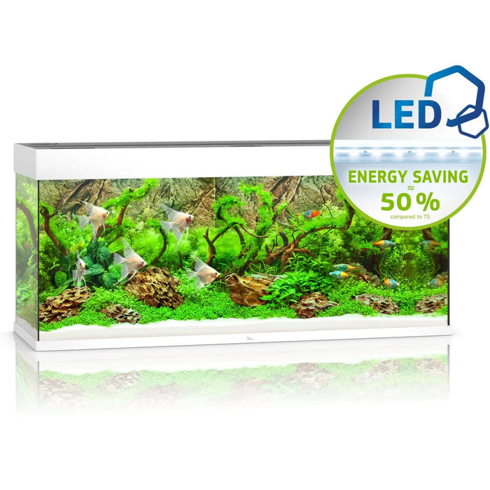Rio 240 LED White