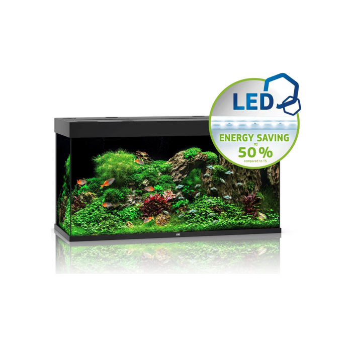 Rio 350 LED Black