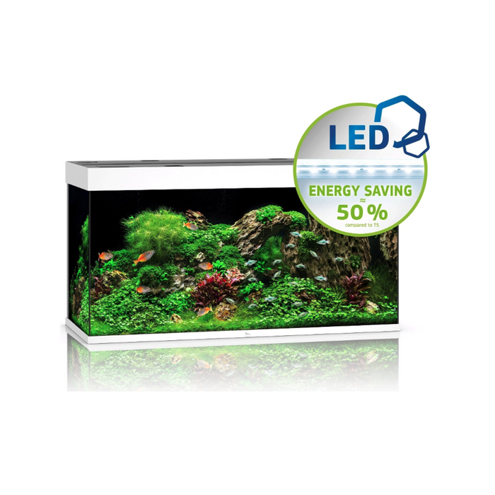 Rio 350 LED White