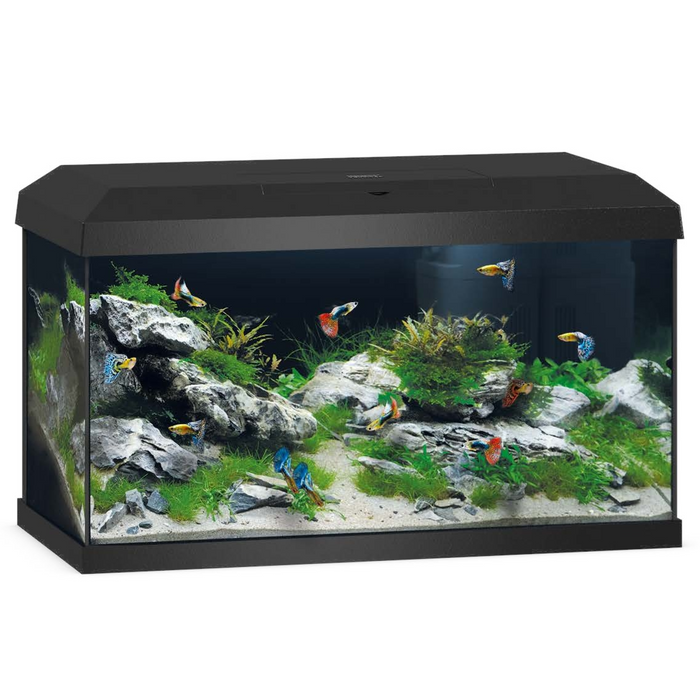 Primo 60 LED 2.0 Black