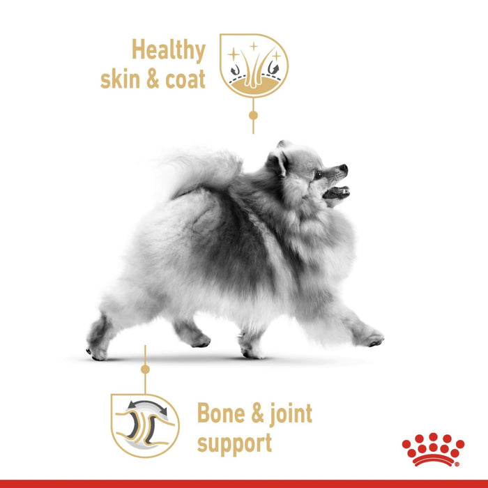 Breed Health Nutrition Pomeranian (WET FOOD - Pouches)