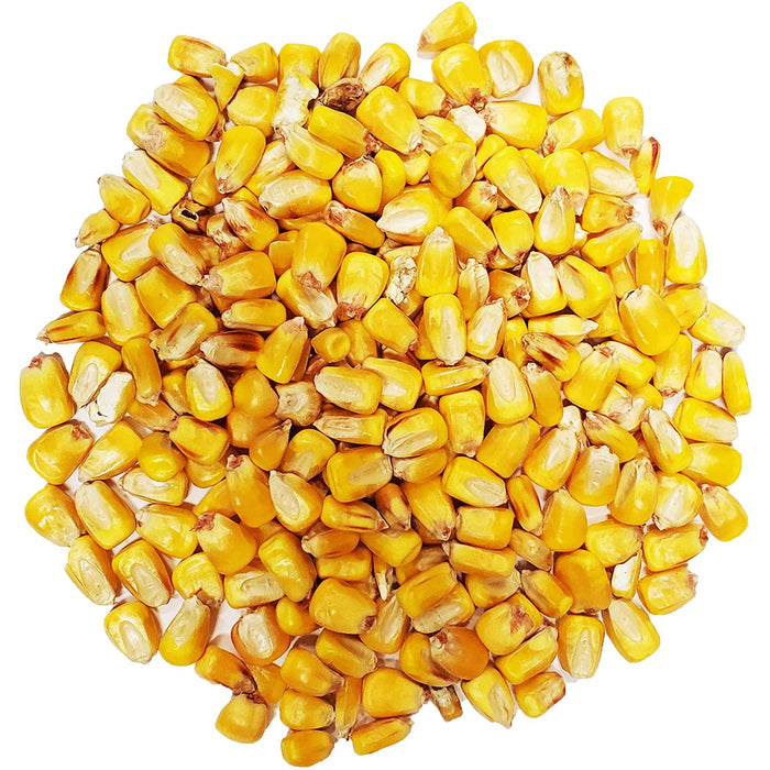 GRIZO CORN SEEDS FRENCH FARM-X 20KG