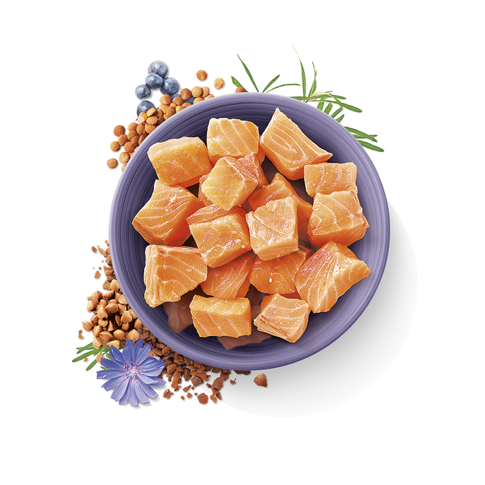 Carnilove True Fresh Fish for Adult Cats 1.8kg