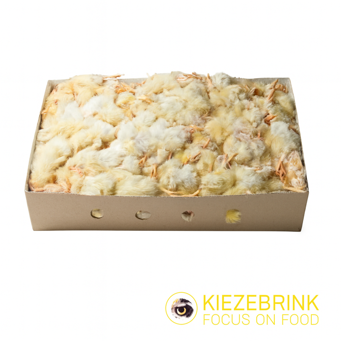 Frozen Day Old Chicks 10 kg Box