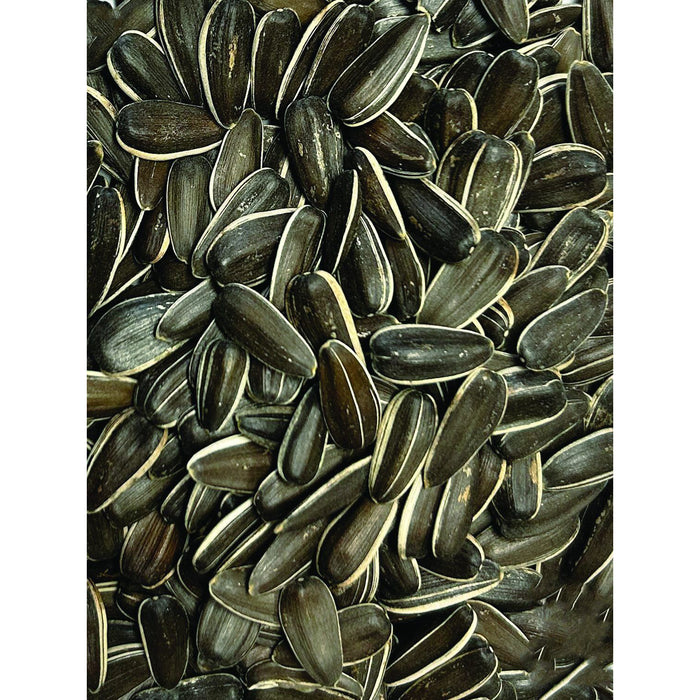 GRIZO BIRD-X LARGE STRIPED SUNFLOWER SEEDS JAGUAR 12.5KG